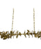 Eucalyptus Leaf Brass Chandelier