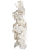 Claudia Sconce