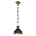 Hicks Small Dome Pendant